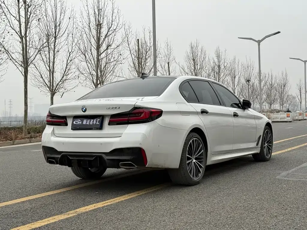 BMW 5 Series 2022 из CN, фото 7