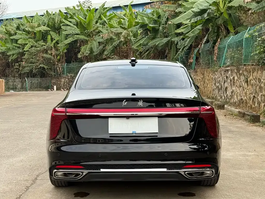 Hongqi H5 2025 из CN, фото 3