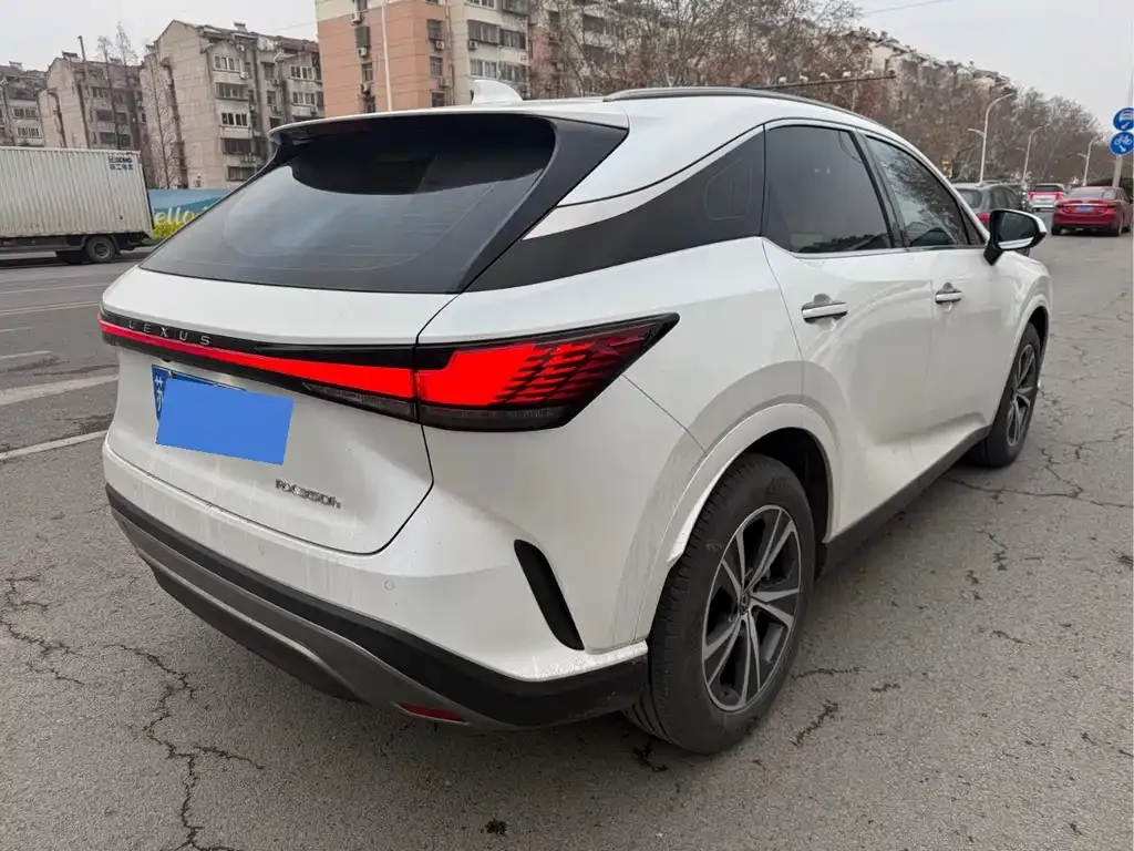 Lexus RX 2023 из CN, фото 5