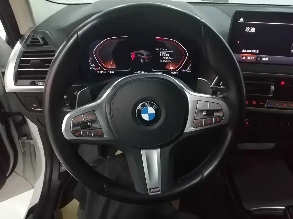 BMW X3 2023 из CN, фото 9