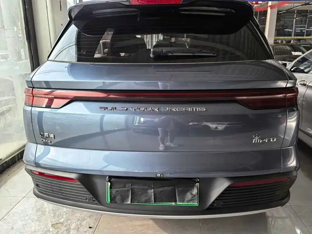 BYD Pro New Energy 2025 из CN, фото 2