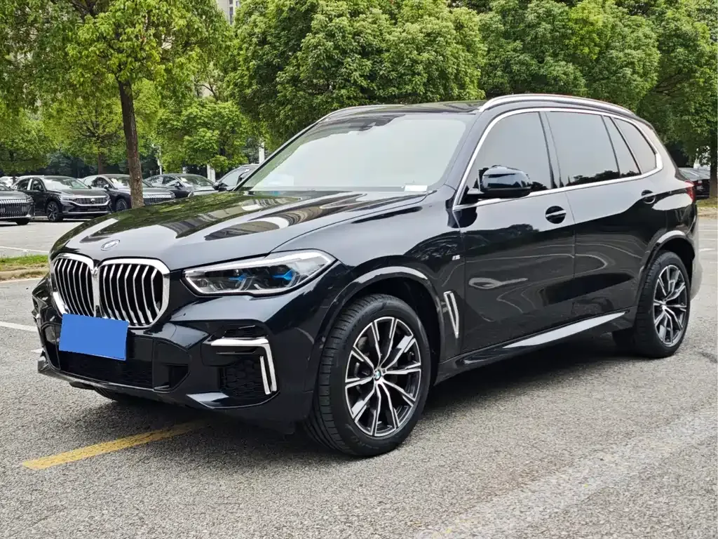 BMW X5 2023 из CN, фото 1