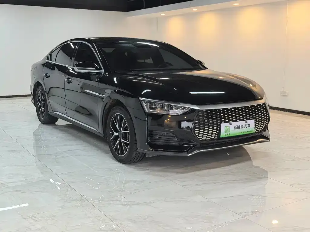 BYD e9 2023 из CN, фото 8