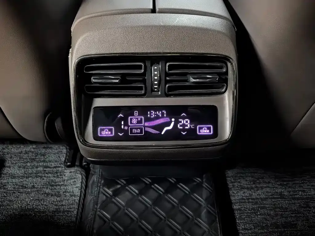 BYD e9 2023 из CN, фото 9
