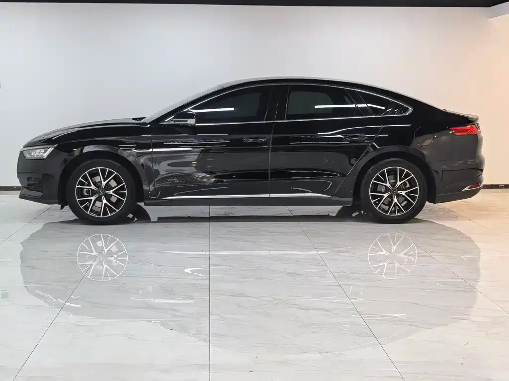 BYD e9 2023 из CN, фото 6