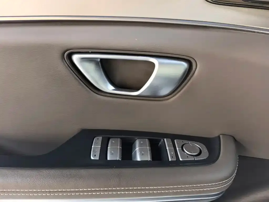 BYD e9 2023 из CN, фото 4
