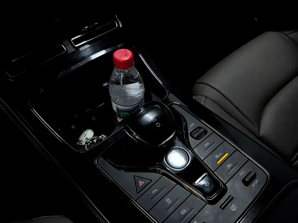 BYD e9 2023 из CN, фото 3