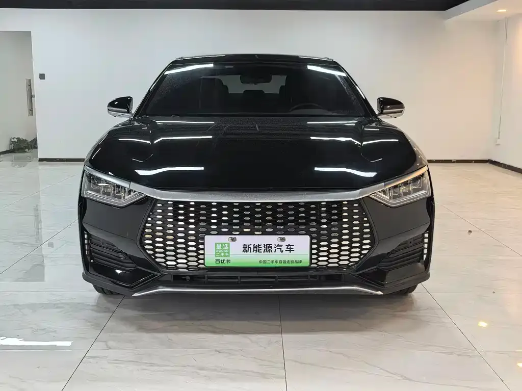 BYD e9 2023 из CN, фото 10