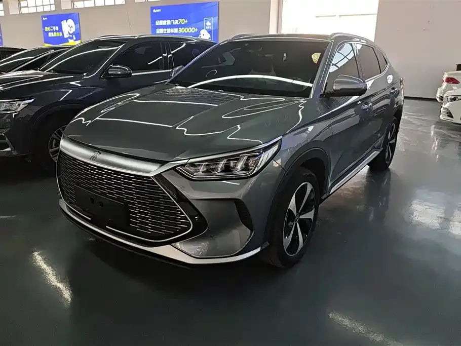 BYD PLUS New Energy 2023 из CN, фото 1