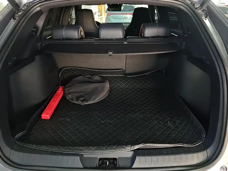 BYD PLUS New Energy 2023 из CN, фото 5