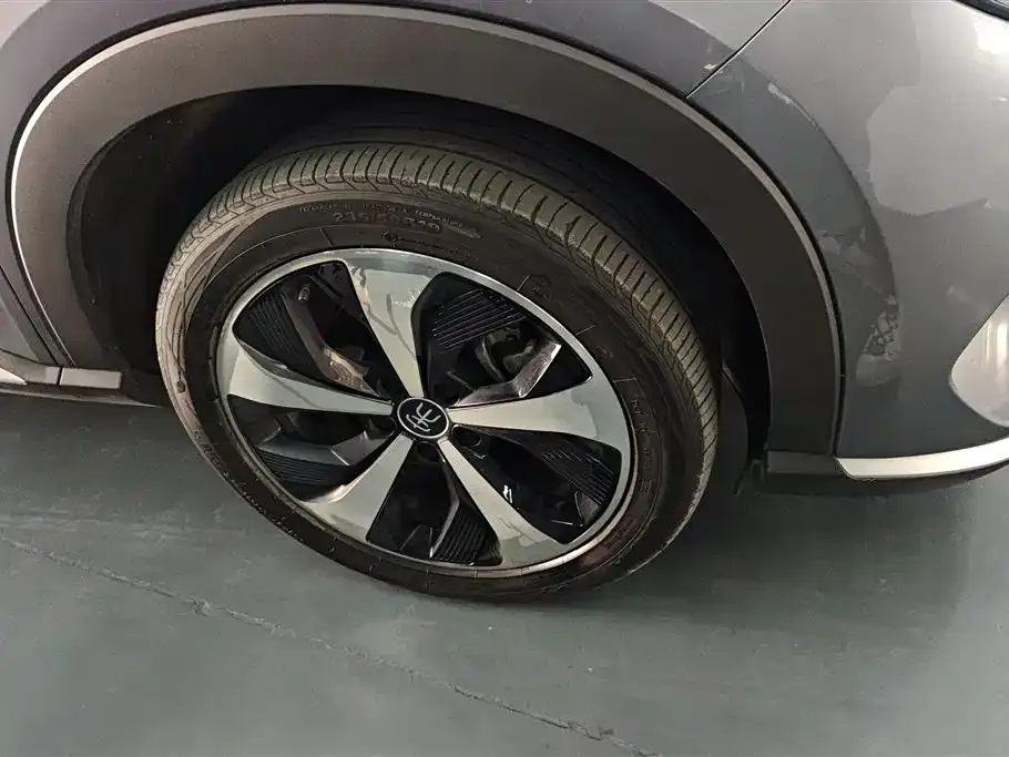BYD PLUS New Energy 2023 из CN, фото 2