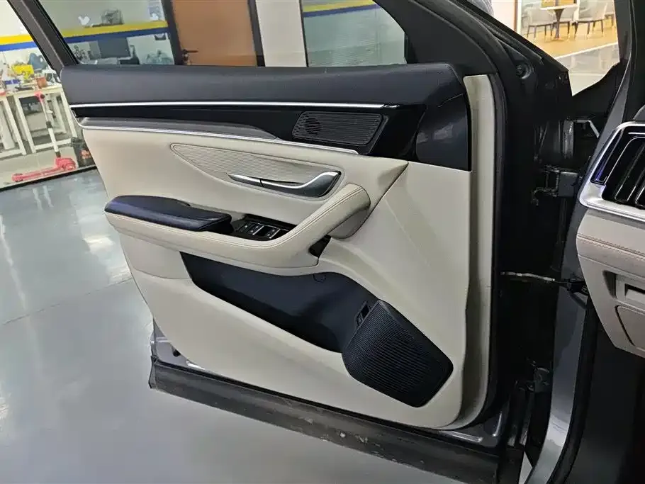 BYD PLUS New Energy 2023 из CN, фото 6
