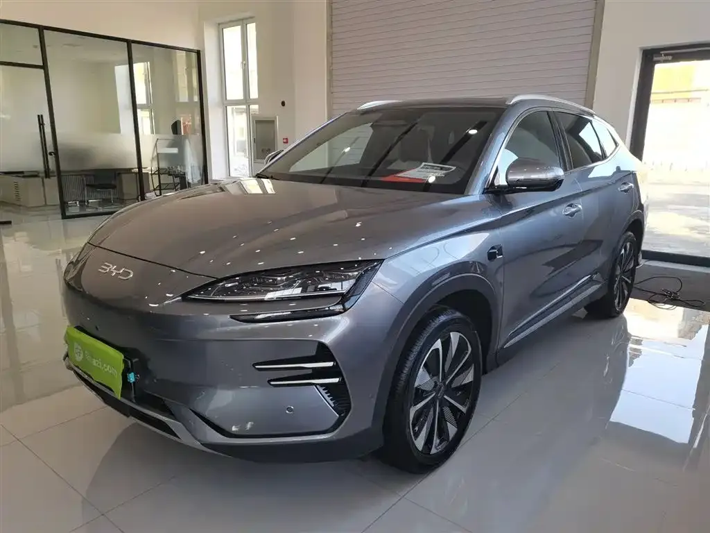 BYD PLUS New Energy — фото 8