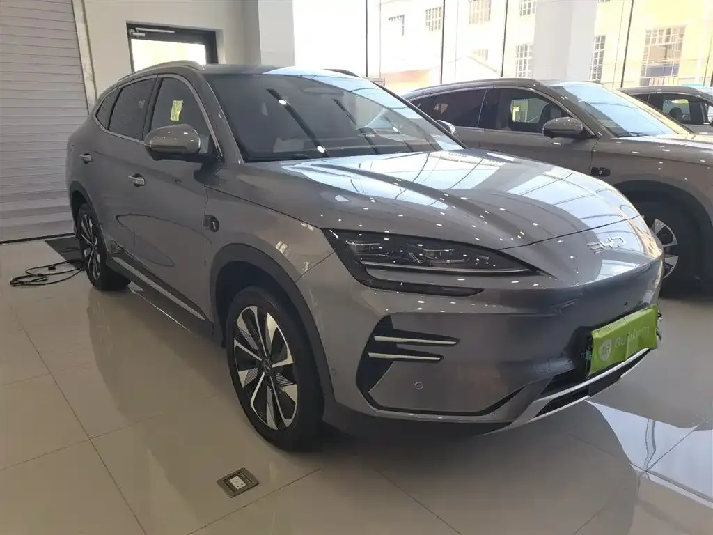BYD PLUS New Energy — фото 9