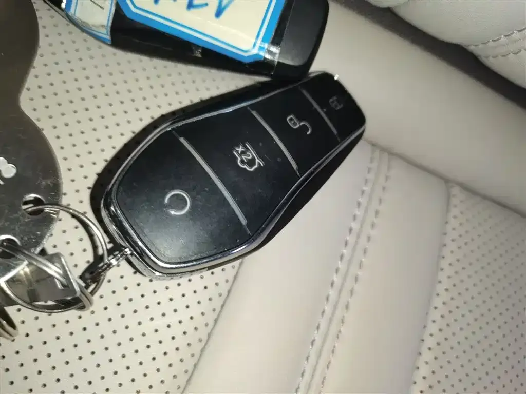 BYD PLUS New Energy — фото 2