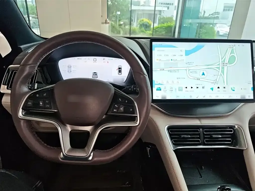 BYD PLUS New Energy 2024 из CN, фото 3