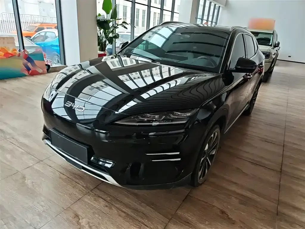 BYD PLUS New Energy 2024 из CN, фото 2