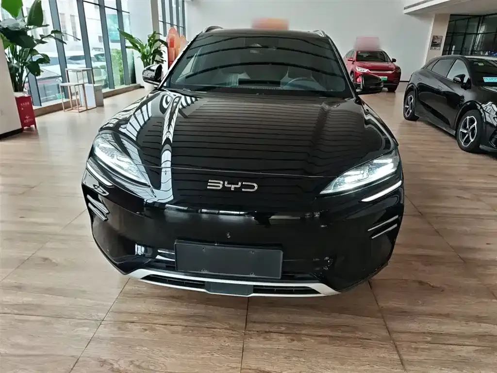 BYD PLUS New Energy 2024 из CN, фото 8