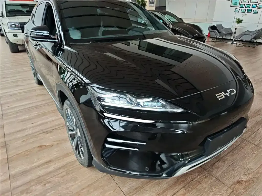 BYD PLUS New Energy 2024 из CN, фото 7