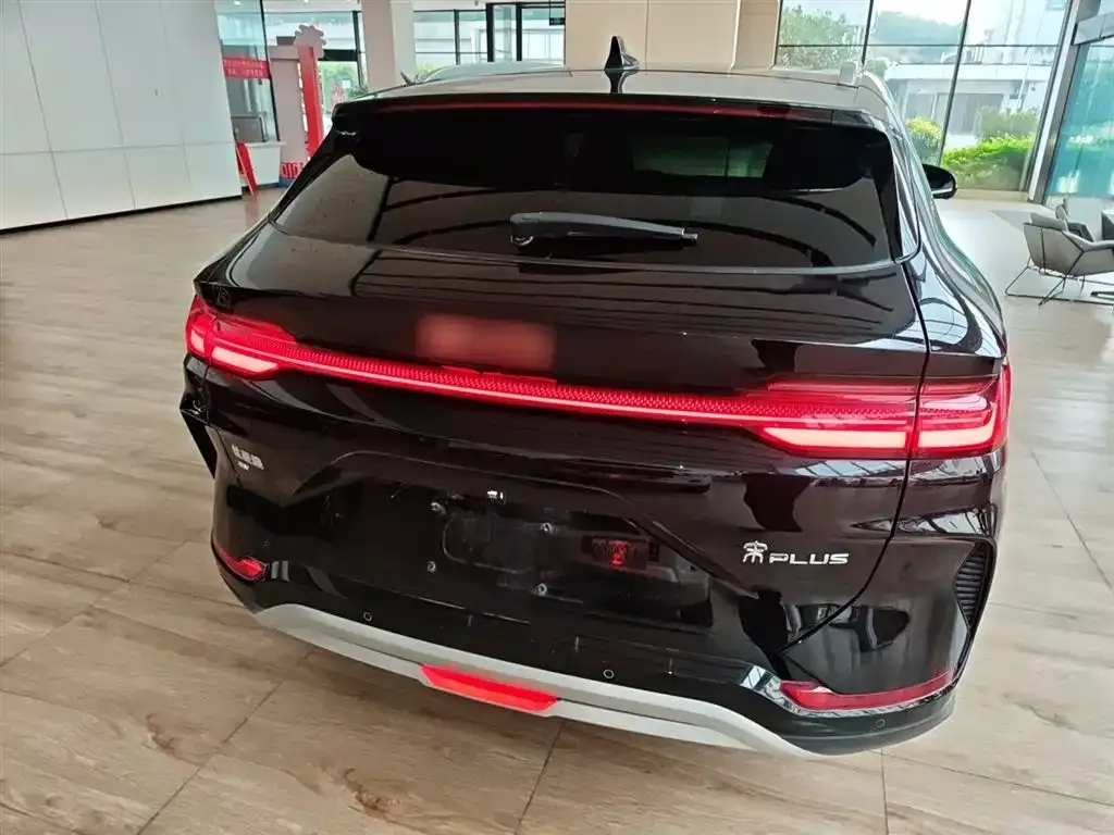 BYD PLUS New Energy 2024 из CN, фото 9