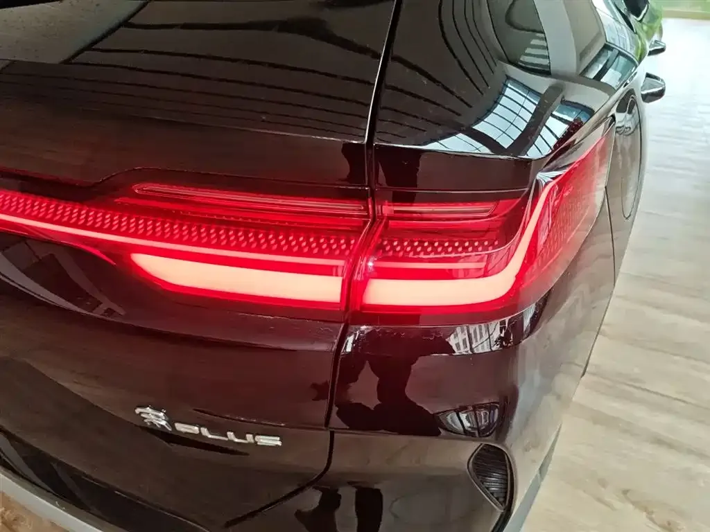 BYD PLUS New Energy 2024 из CN, фото 6