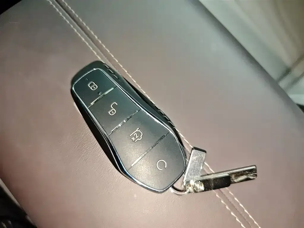 BYD PLUS New Energy 2024 из CN, фото 5