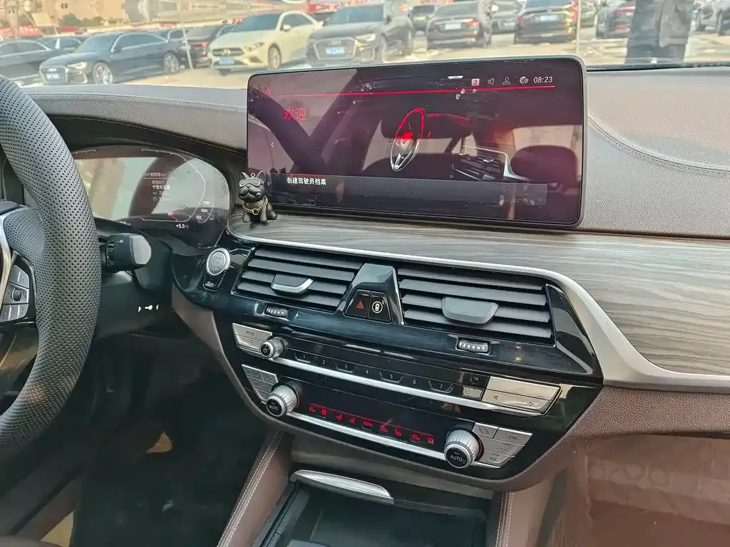 BMW 5 Series 2021 из CN, фото 8