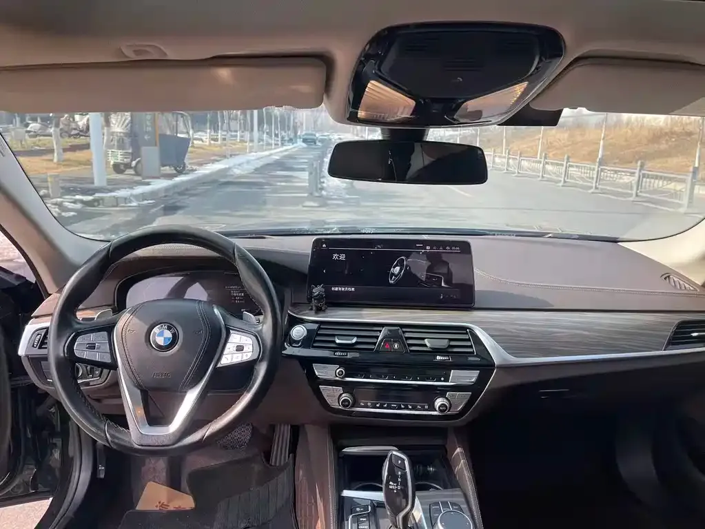 BMW 5 Series 2021 из CN, фото 10