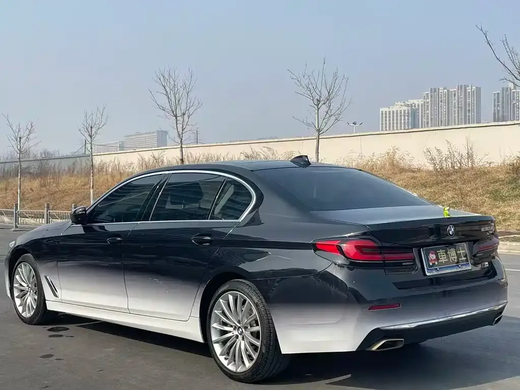 BMW 5 Series 2021 из CN, фото 6