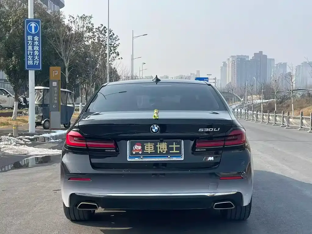 BMW 5 Series 2021 из CN, фото 5