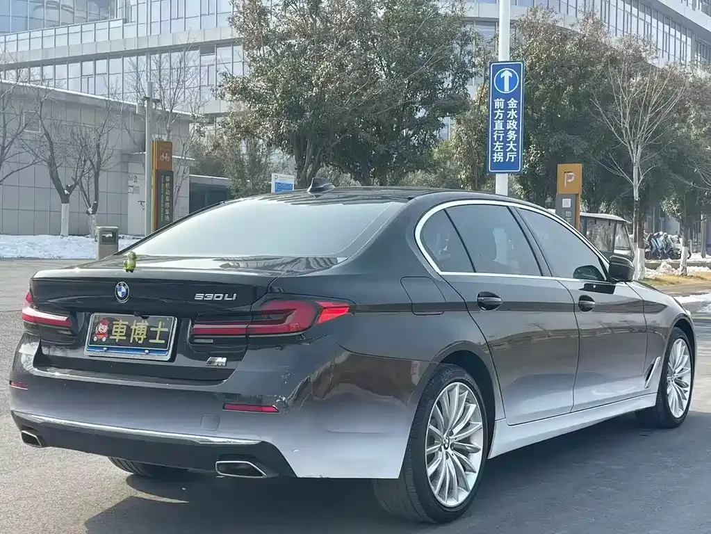 BMW 5 Series 2021 из CN, фото 4