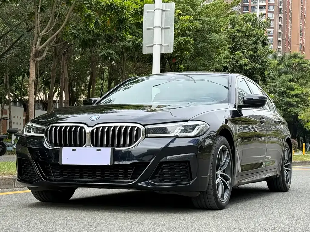 BMW 5 Series New Energy — фото 1