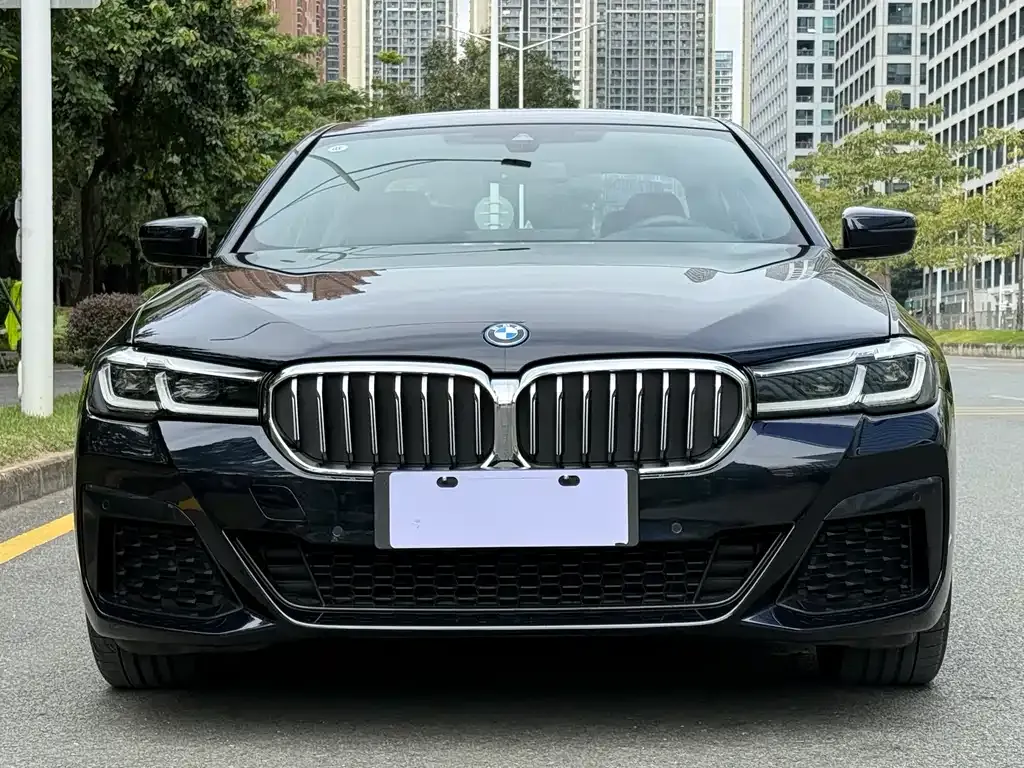 BMW 5 Series New Energy — фото 8