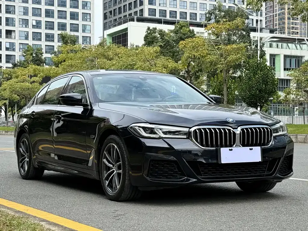 BMW 5 Series New Energy — фото 9