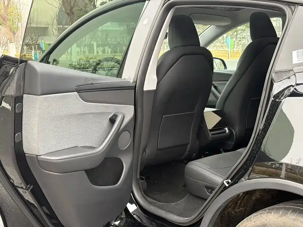 Tesla Model Y 2025 из CN, фото 2
