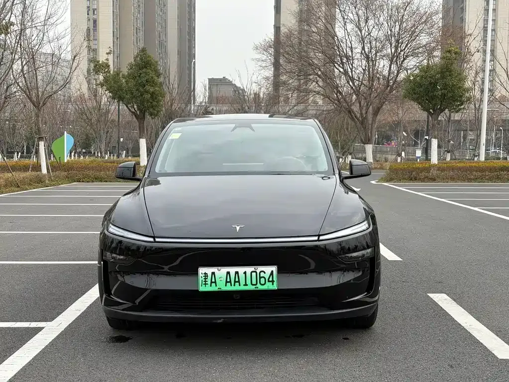 Tesla Model Y 2025 из CN, фото 9