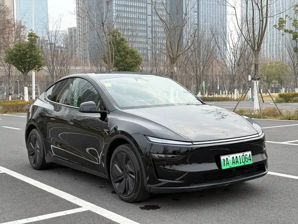 Tesla Model Y 2025 из CN, фото 8