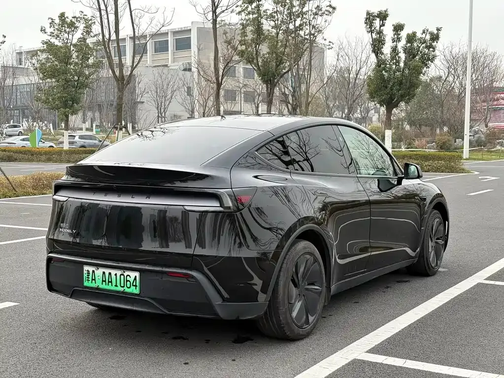 Tesla Model Y 2025 из CN, фото 3