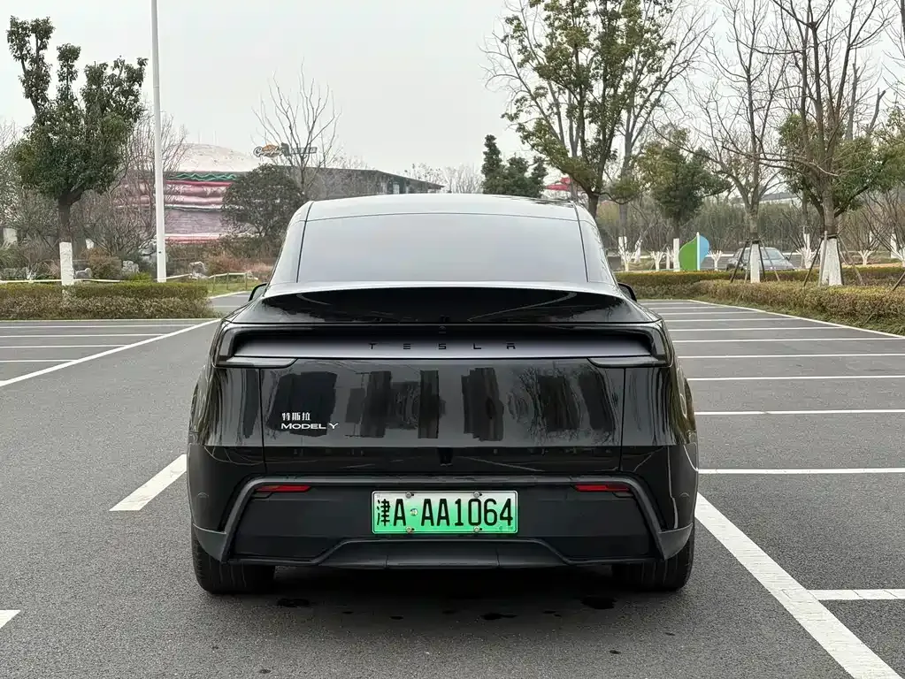 Tesla Model Y 2025 из CN, фото 10