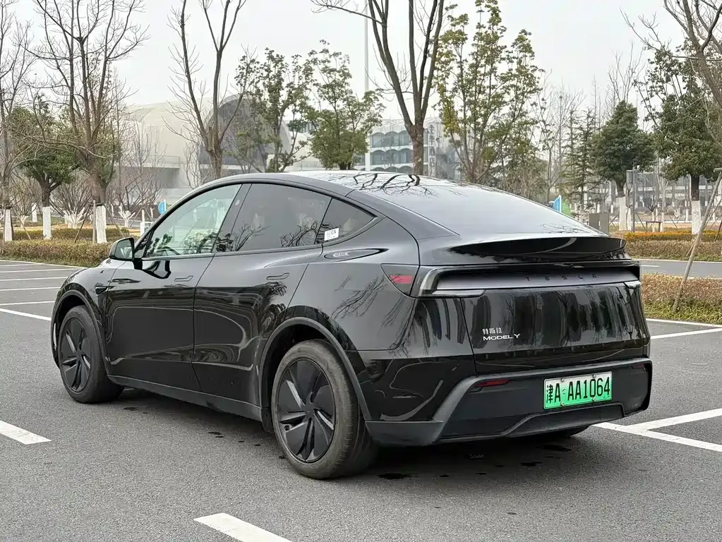 Tesla Model Y 2025 из CN, фото 4