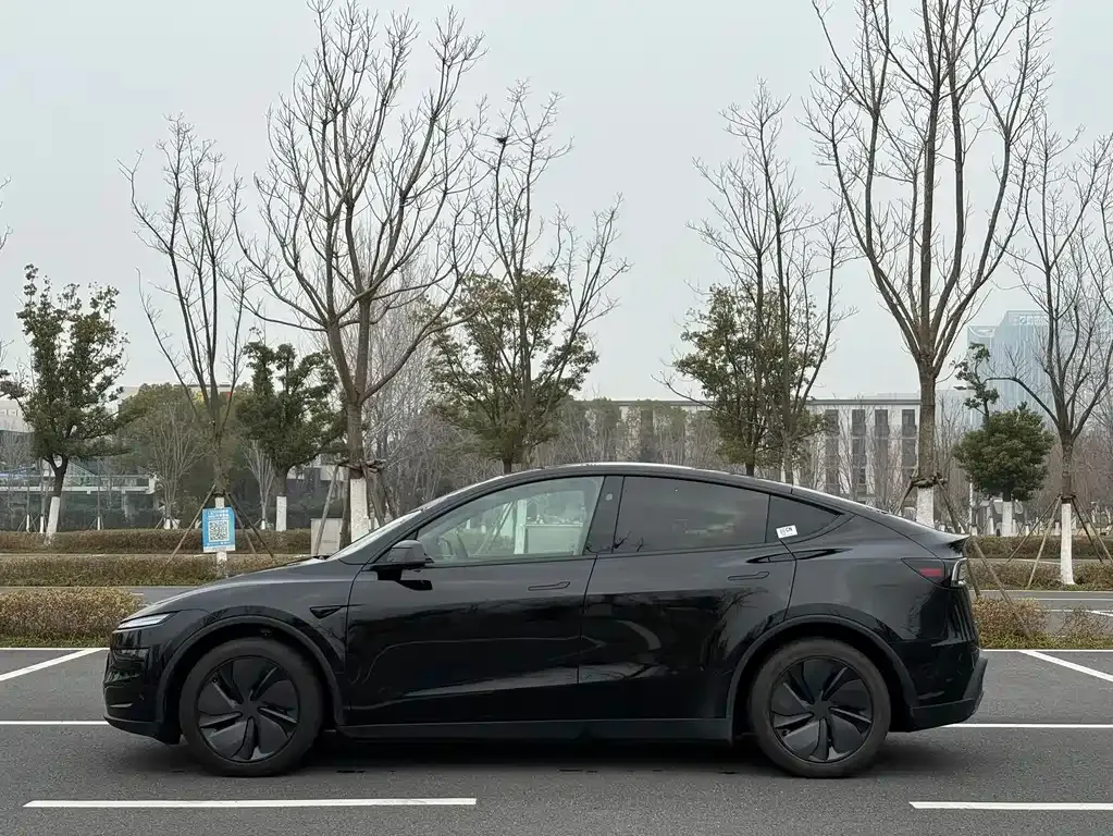 Tesla Model Y 2025 из CN, фото 7