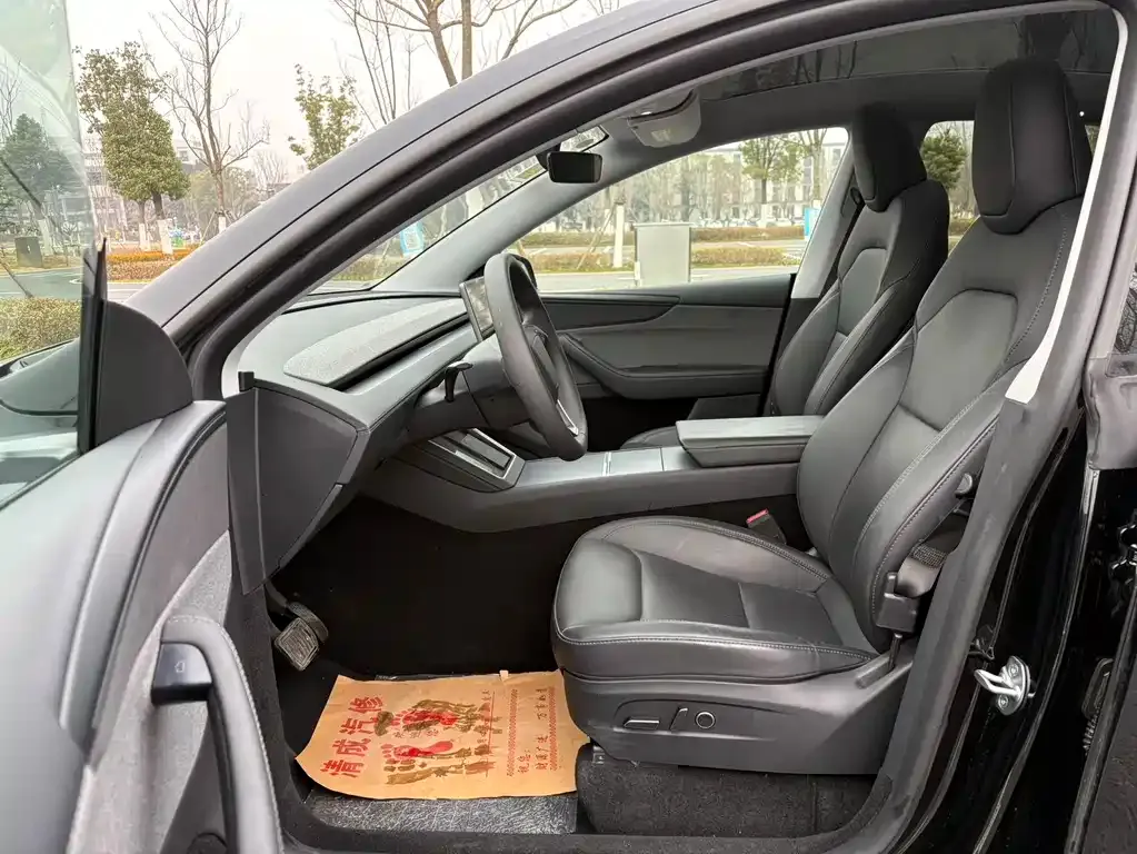 Tesla Model Y 2025 из CN, фото 6