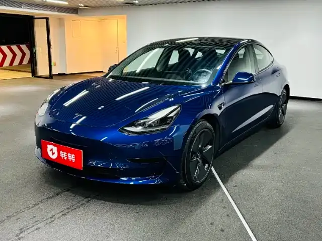 Tesla Model 3 2021 из CN, фото 1