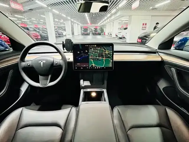 Tesla Model 3 2021 из CN, фото 6