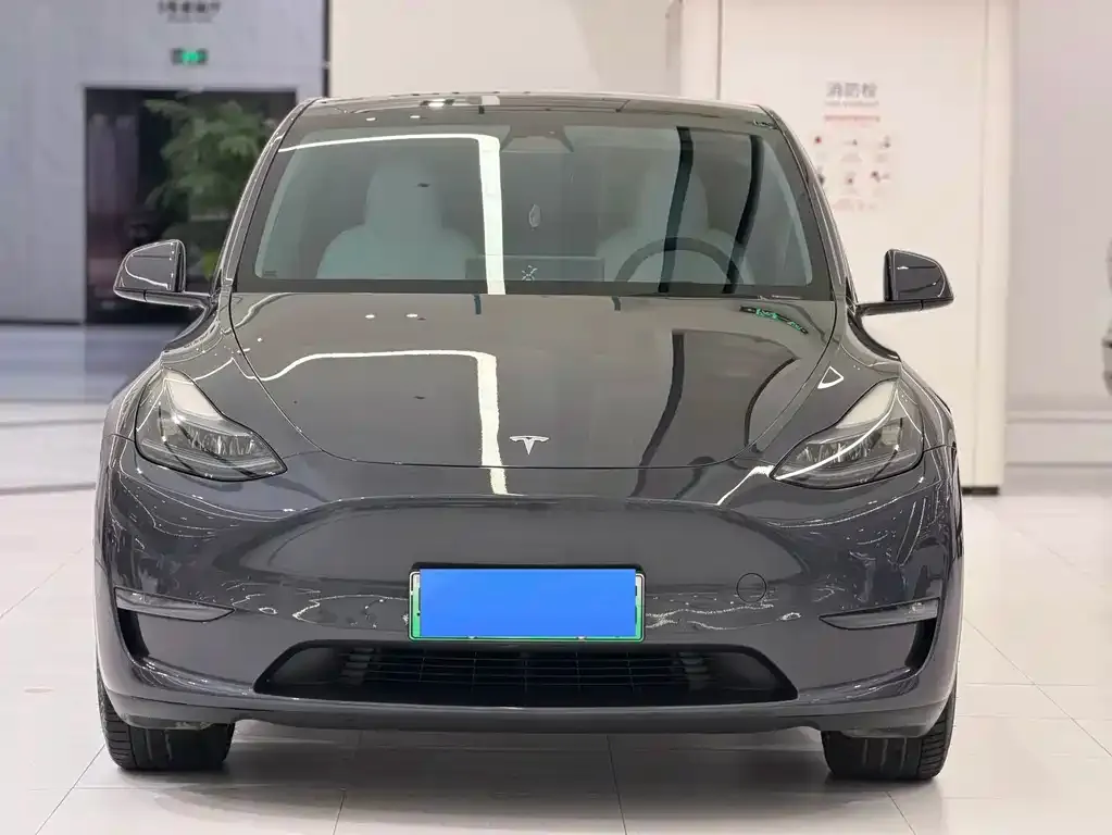 Tesla Model Y 2023 из CN, фото 5