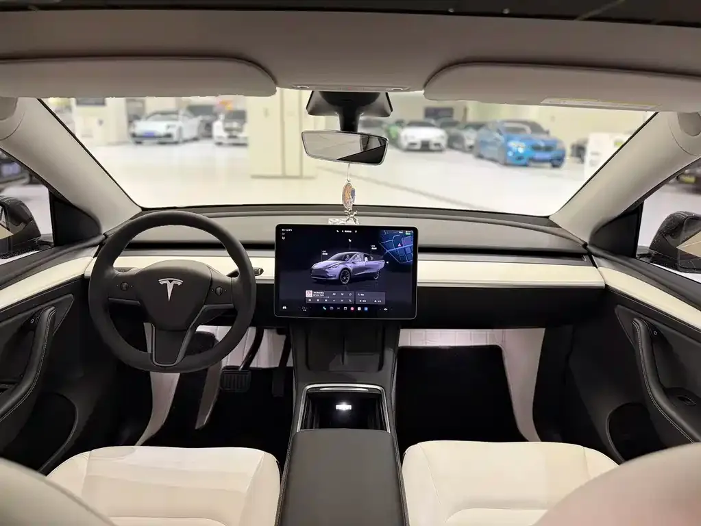 Tesla Model Y 2023 из CN, фото 2