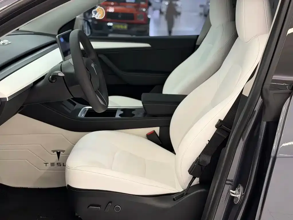 Tesla Model Y 2023 из CN, фото 8