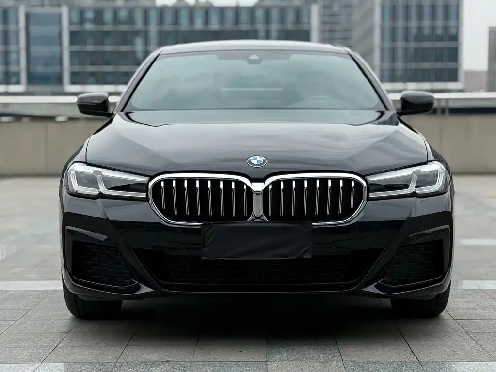 BMW 5 Series 2023 из CN, фото 4