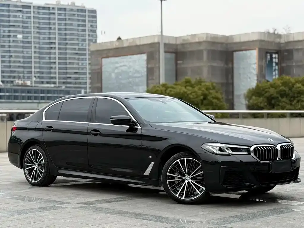 BMW 5 Series 2023 из CN, фото 3