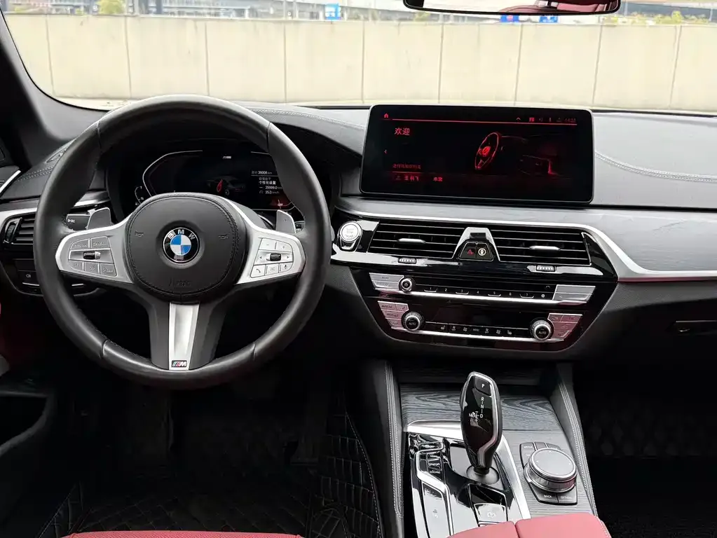 BMW 5 Series 2023 из CN, фото 5
